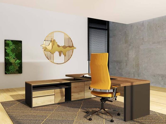 director desk