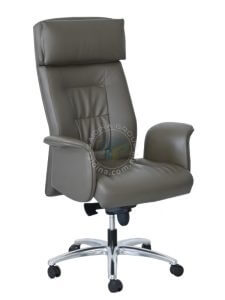 director chair