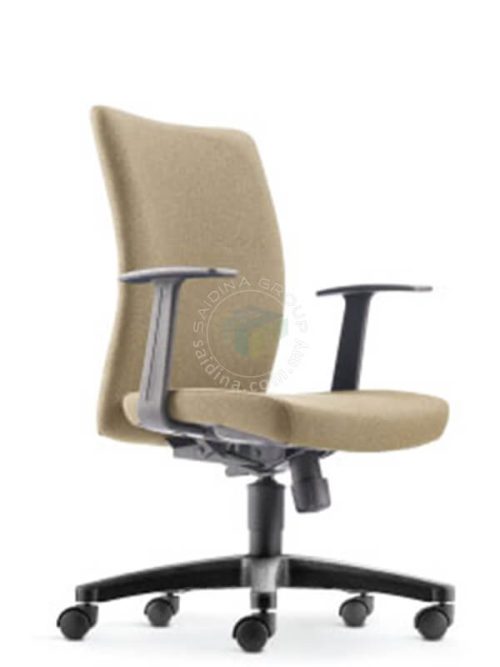 director chair