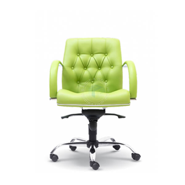Executive Low back Chairs | Model : E2087H (Century)