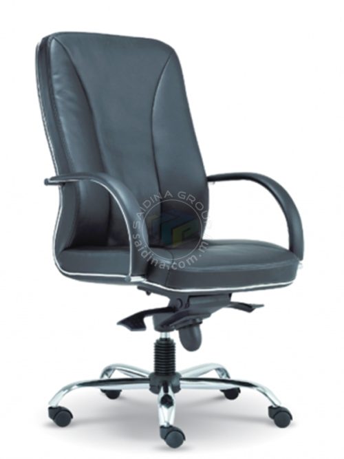 High back Leather / Director’s Chair