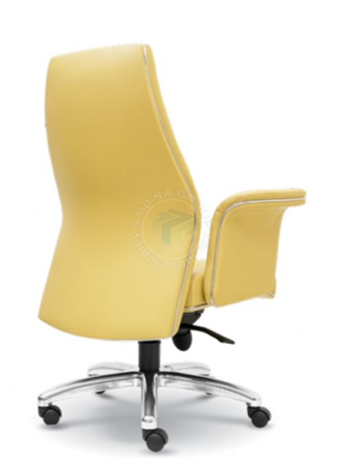Executive Medium back Chairs