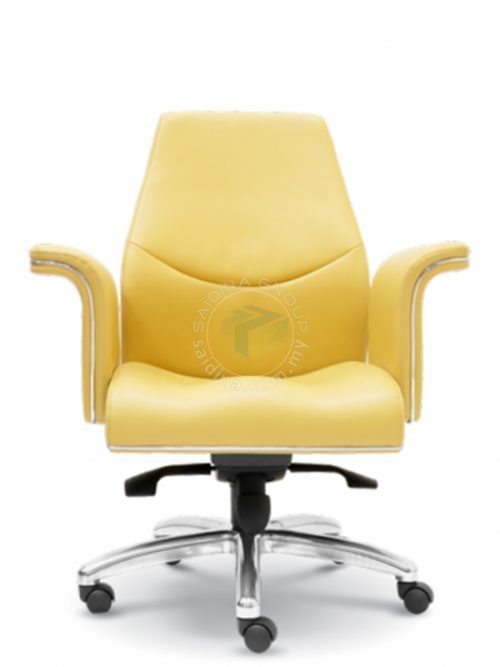 Executive Low back Chairs