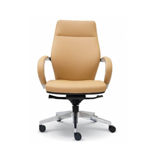 Executive Medium back Chairs